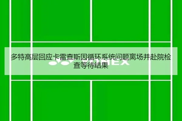 多特高层回应卡雷查斯因循环系统问题离场并赴院检查等待结果